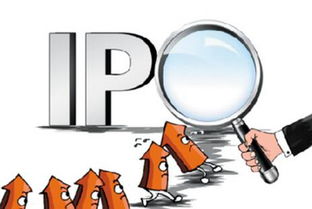 掌閱科技(603533)中簽號公布時間與號碼查詢